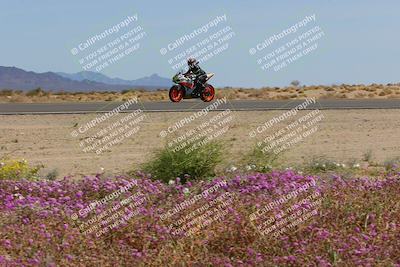 media/Mar-12-2023-SoCal Trackdays (Sun) [[d4c8249724]]/Turn 15 Inside Bloom (130pm)/